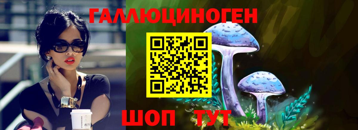 Псилоцибиновые грибы GOLDEN TEACHER  Вход с VPN  Тельмана 